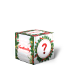 Christmas Mystery Buddy Box 2025